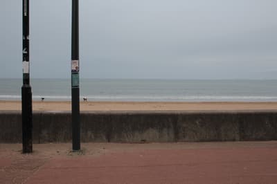 Portobello