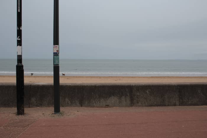 Portobello